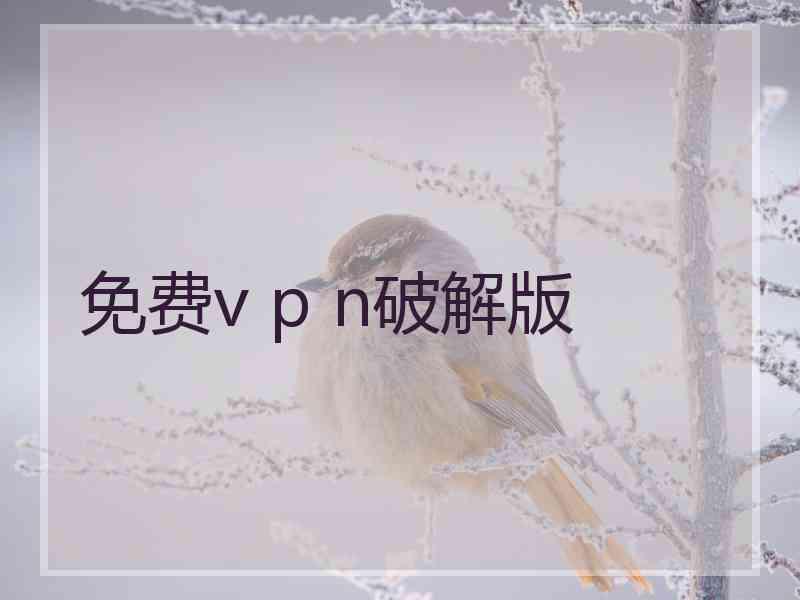 免费v p n破解版