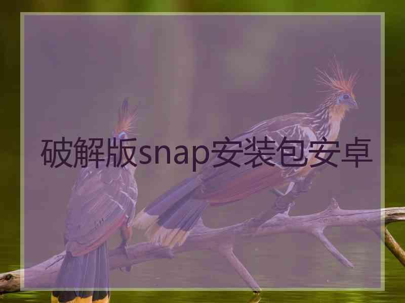 破解版snap安装包安卓