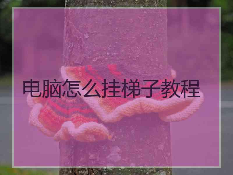 电脑怎么挂梯子教程