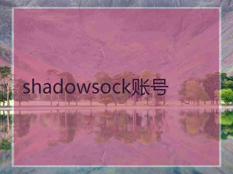 shadowsock账号