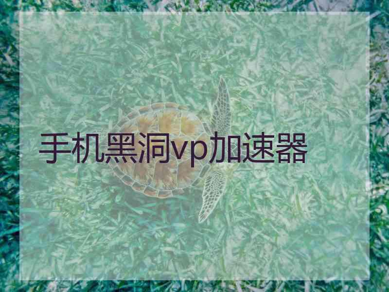 手机黑洞vp加速器