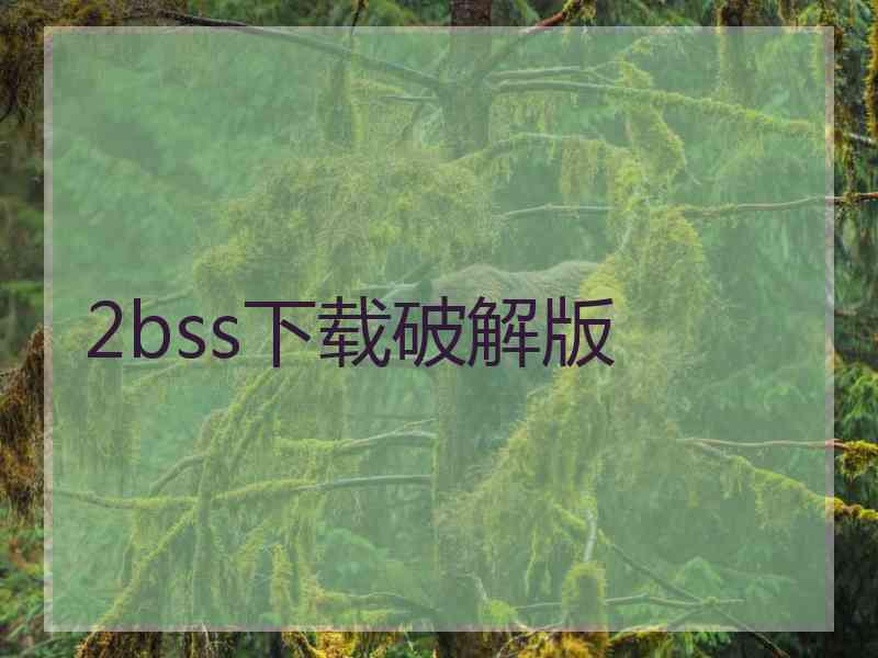 2bss下载破解版