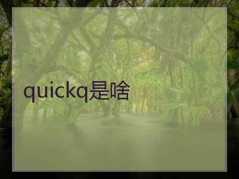 quickq是啥