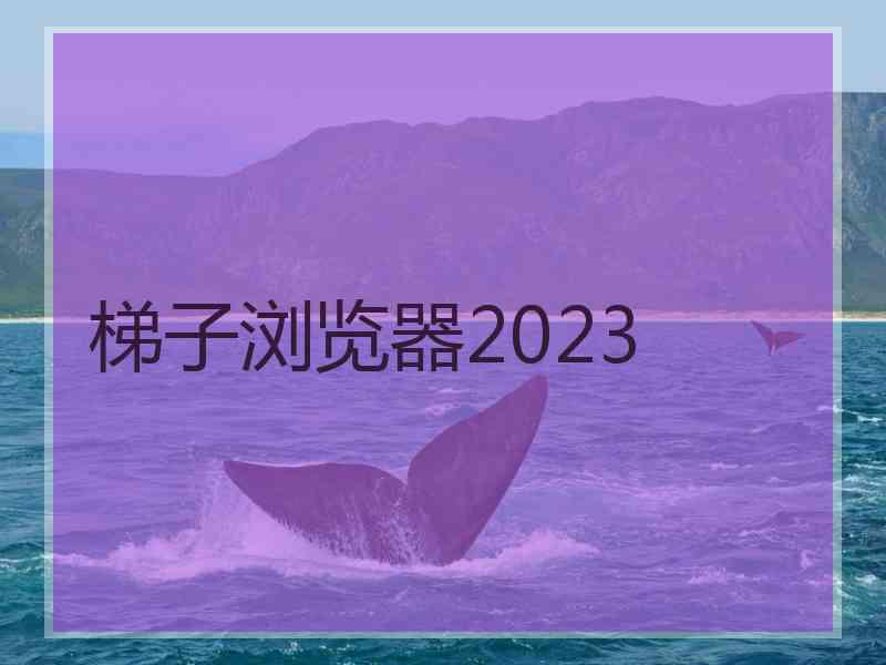 梯子浏览器2023