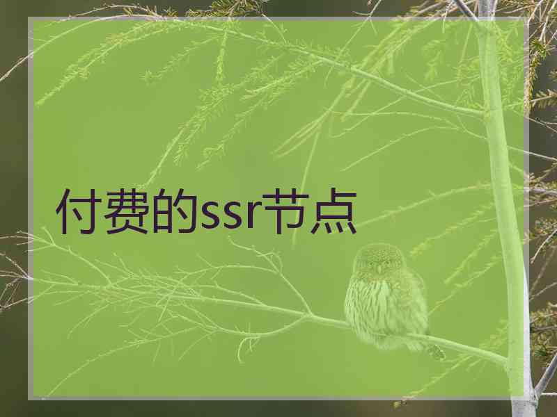 付费的ssr节点