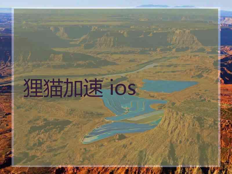 狸猫加速 ios