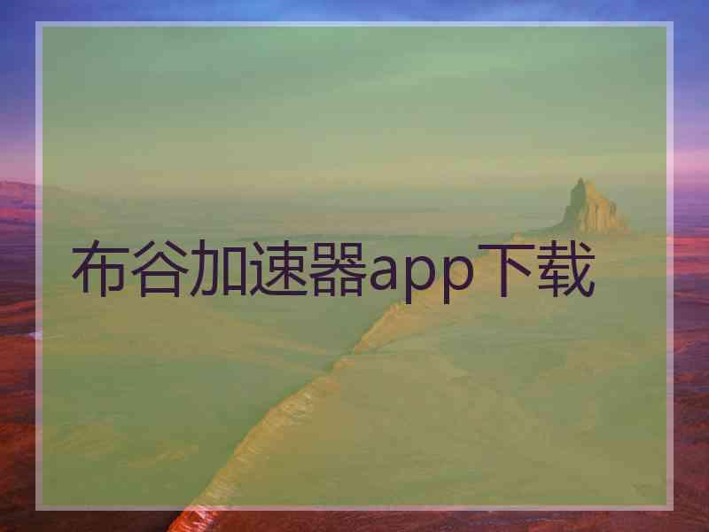 布谷加速器app下载