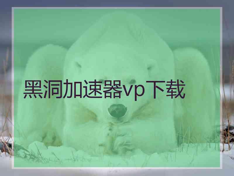 黑洞加速器vp下载