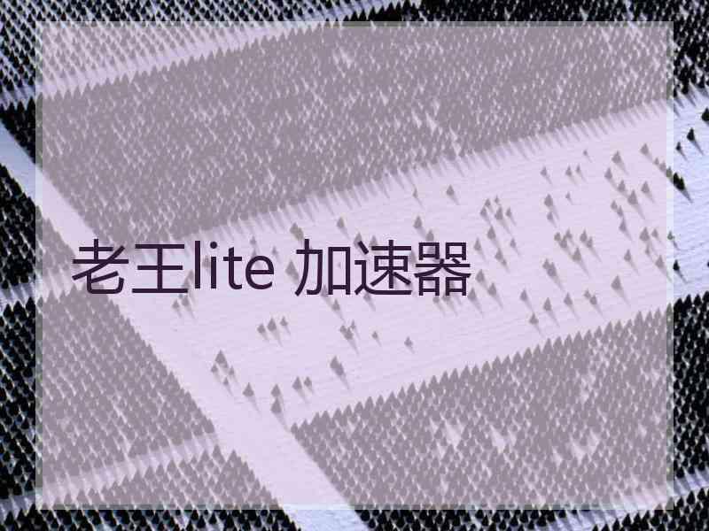 老王lite 加速器