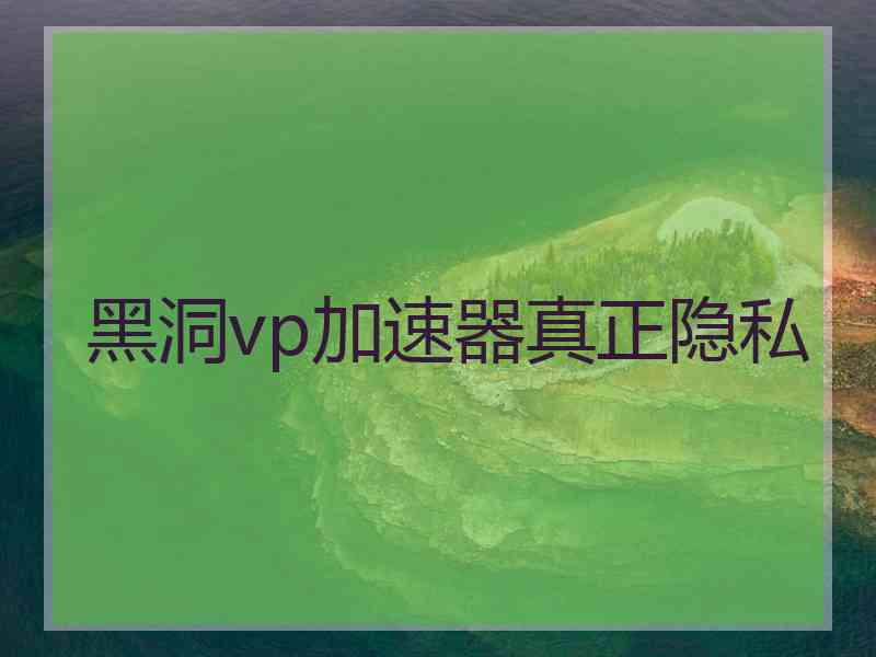 黑洞vp加速器真正隐私