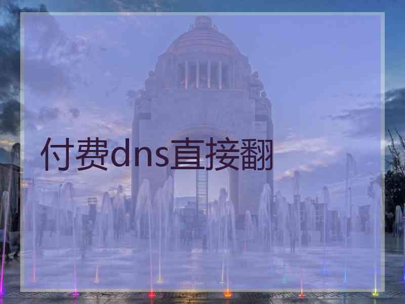 付费dns直接翻