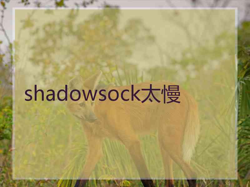 shadowsock太慢