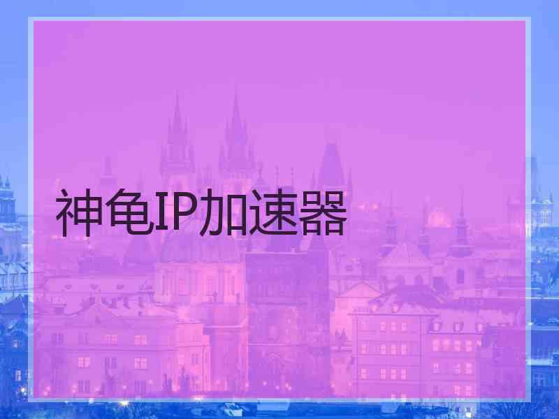 神龟IP加速器