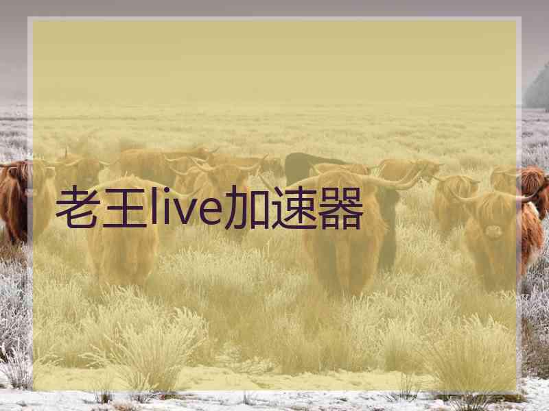 老王live加速器