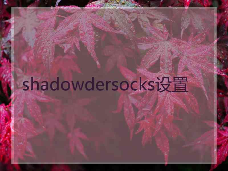 shadowdersocks设置