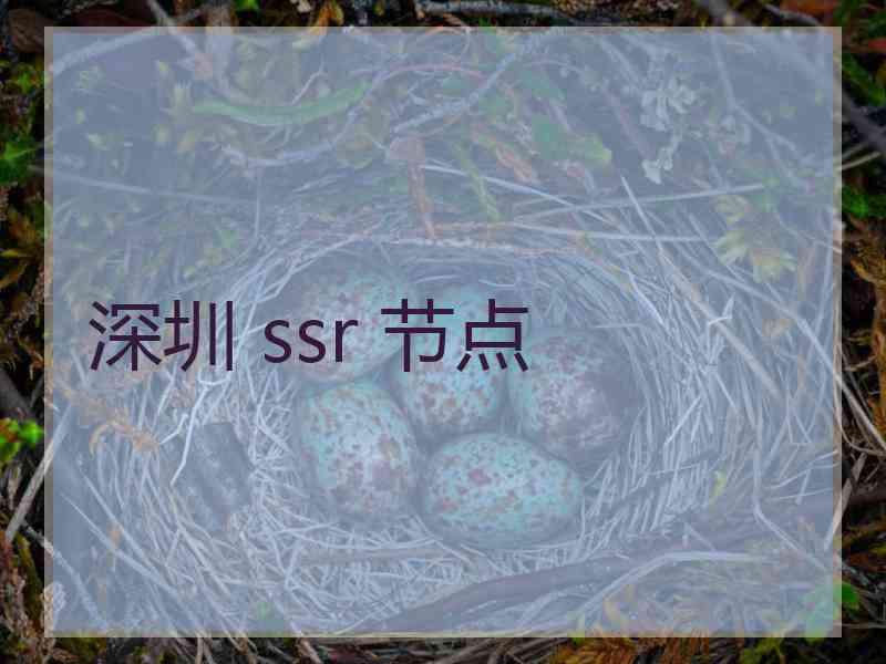 深圳 ssr 节点