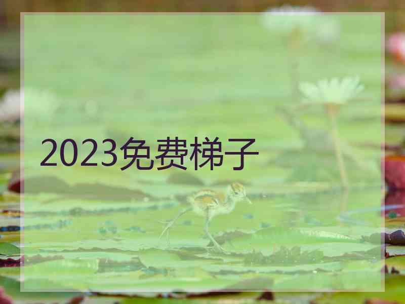 2023免费梯子