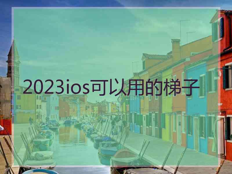 2023ios可以用的梯子