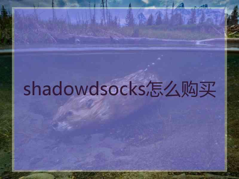 shadowdsocks怎么购买