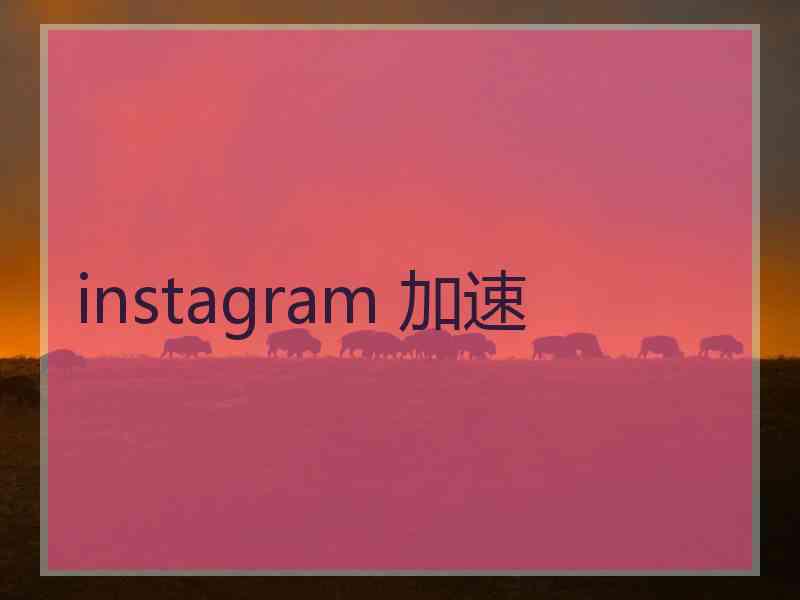 instagram 加速