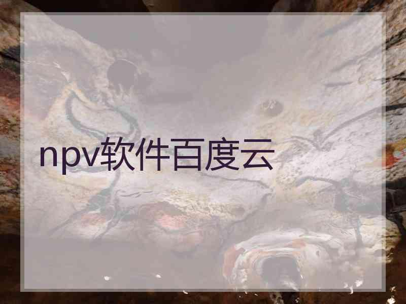 npv软件百度云