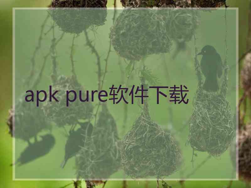 apk pure软件下载