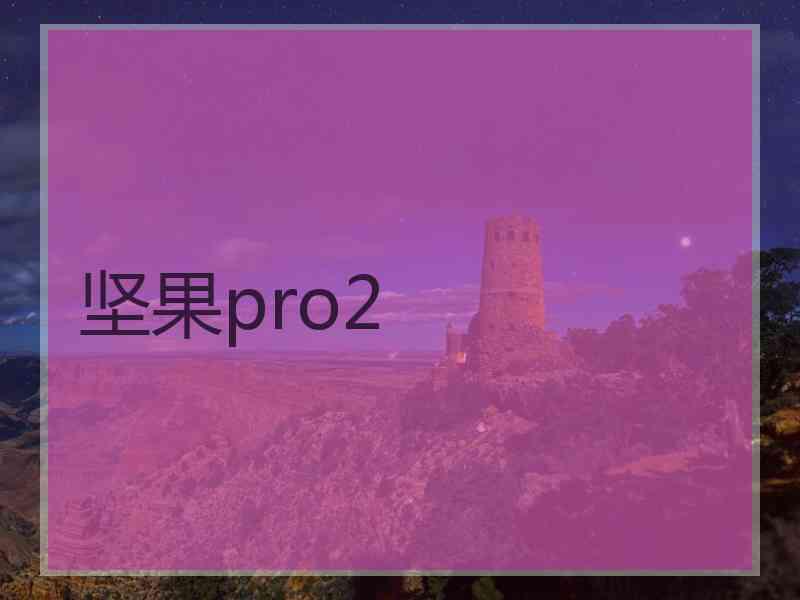 坚果pro2