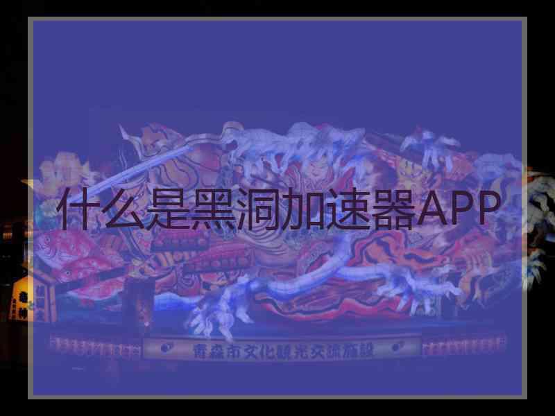 什么是黑洞加速器APP