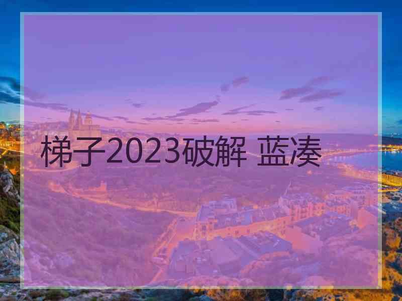 梯子2023破解 蓝凑