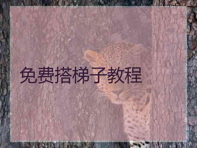 免费搭梯子教程