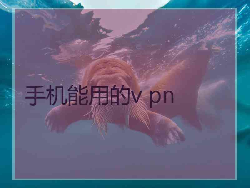 手机能用的v pn