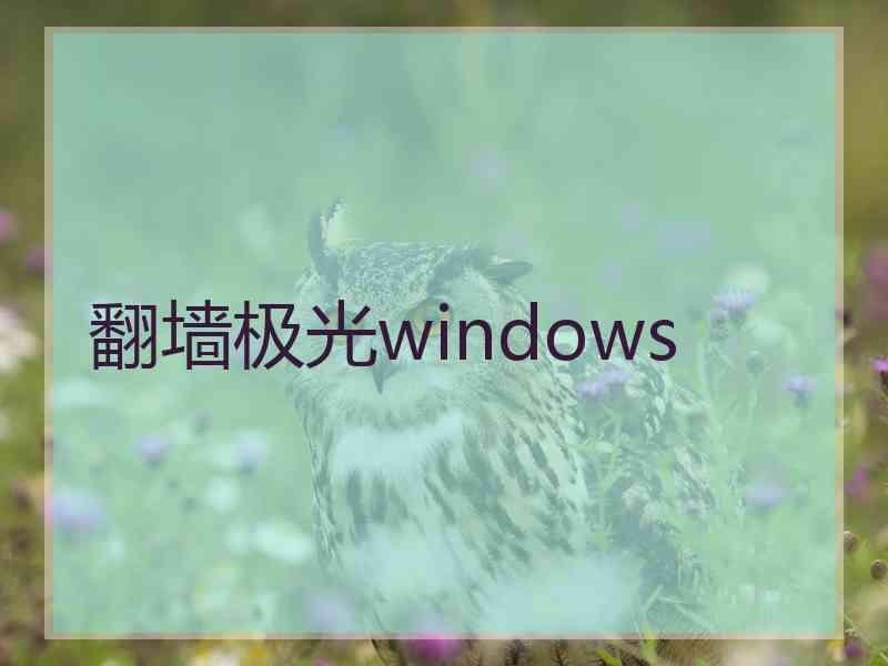 翻墙极光windows