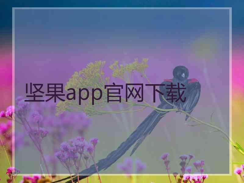 坚果app官网下载