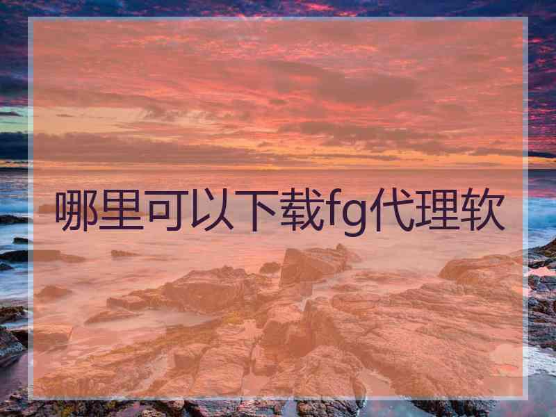 哪里可以下载fg代理软