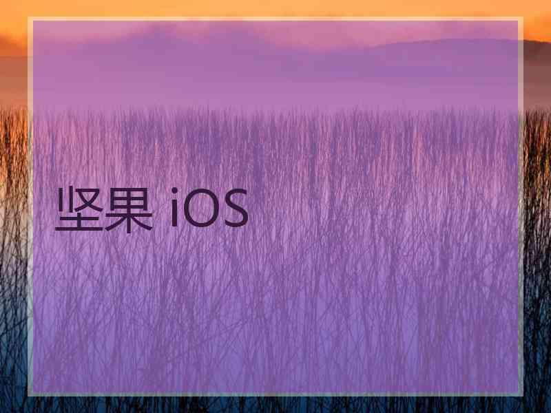 坚果 iOS