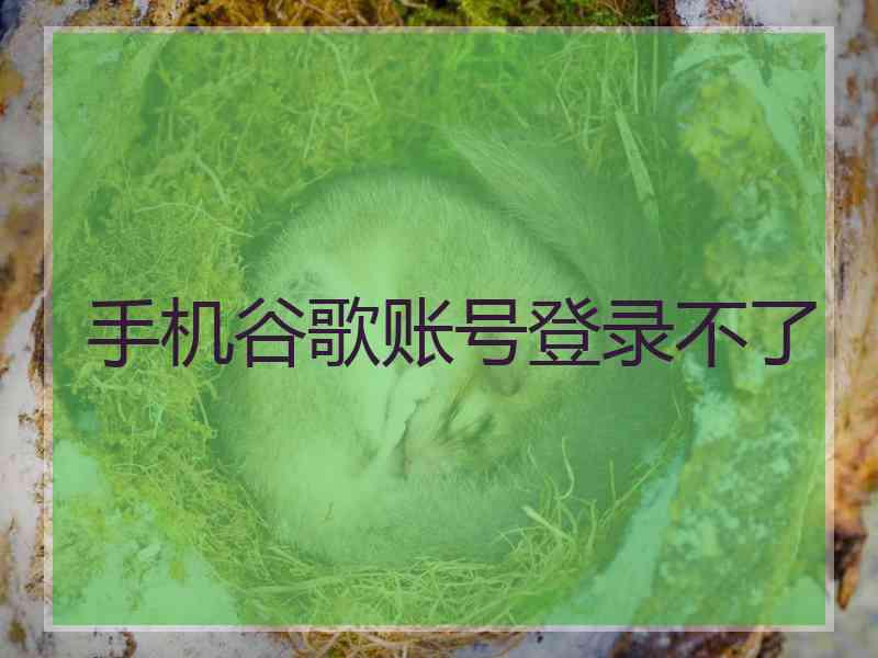 手机谷歌账号登录不了