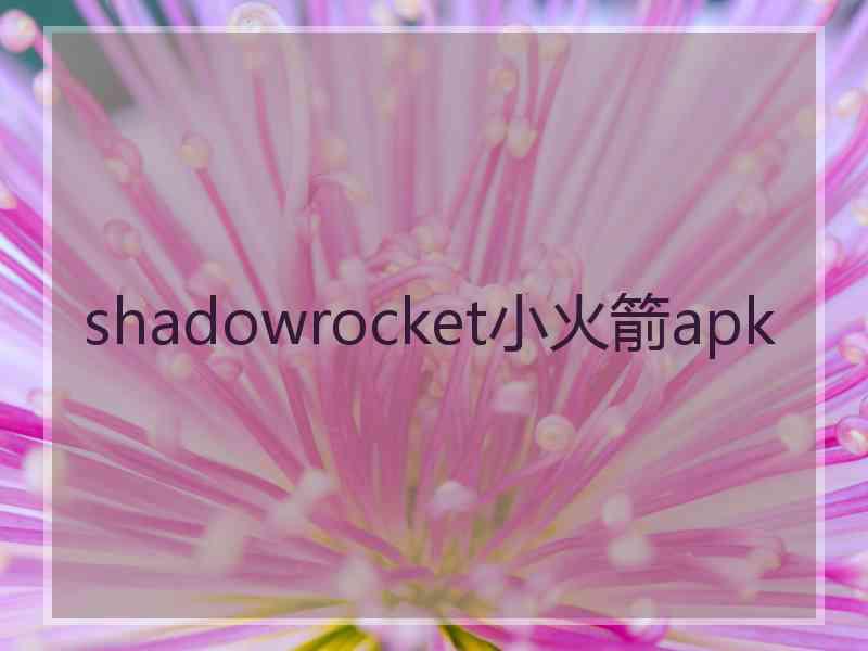 shadowrocket小火箭apk