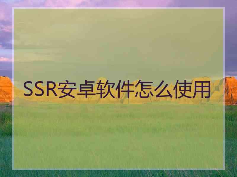 SSR安卓软件怎么使用