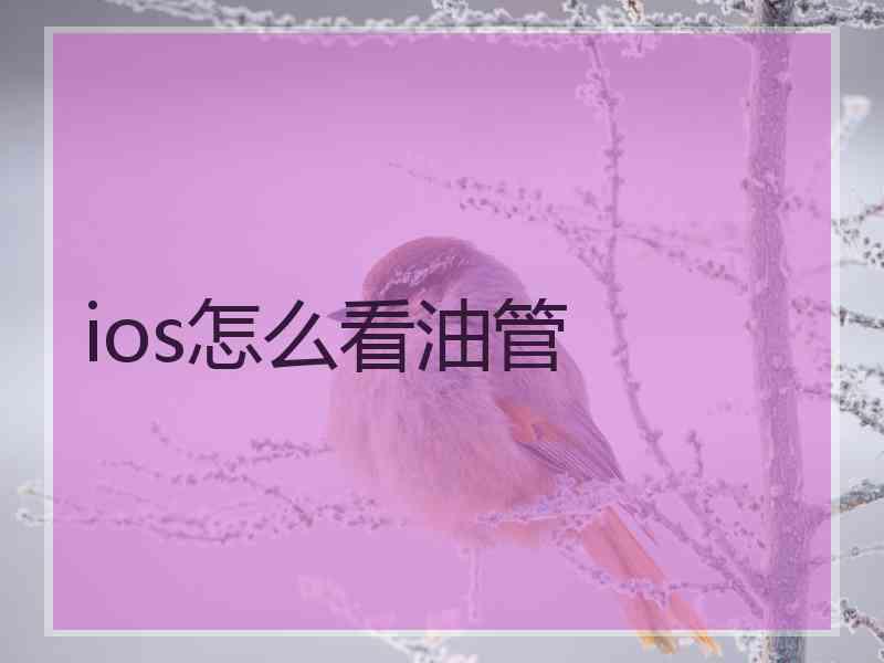 ios怎么看油管