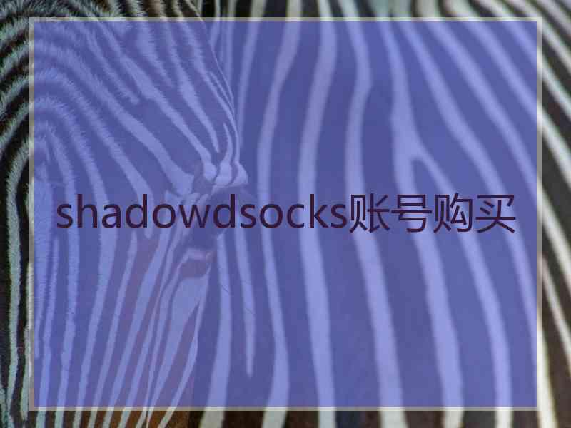 shadowdsocks账号购买