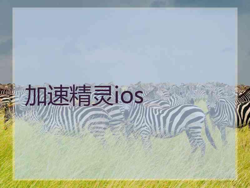 加速精灵ios