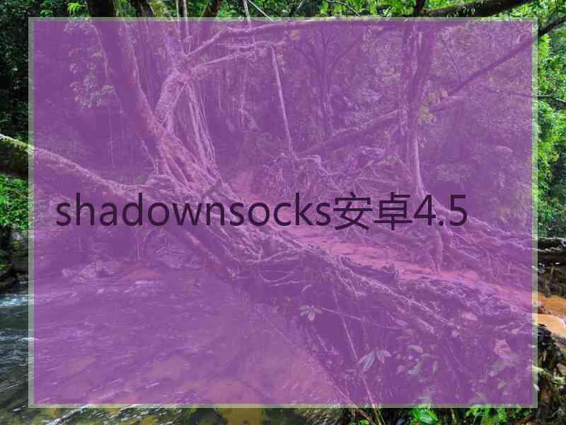 shadownsocks安卓4.5