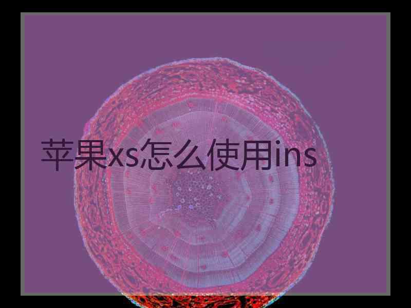 苹果xs怎么使用ins