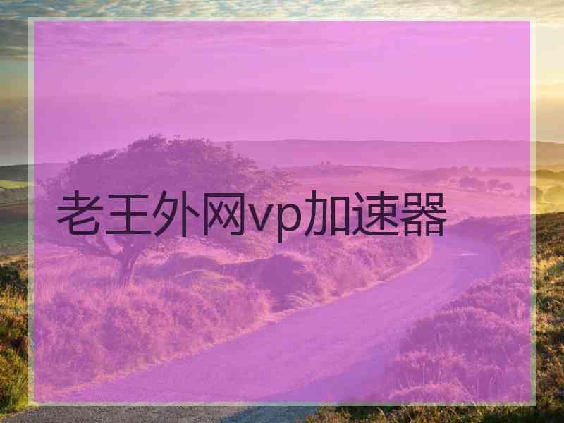 老王外网vp加速器