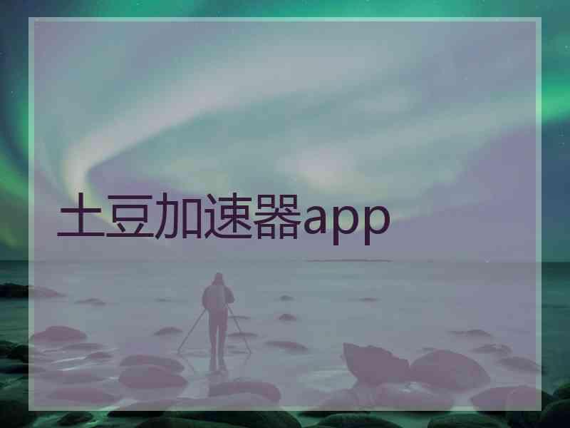 土豆加速器app