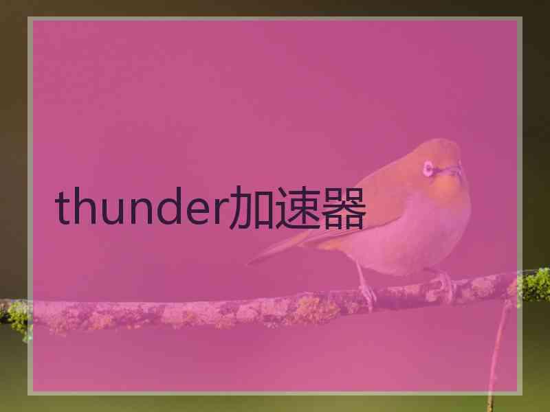 thunder加速器