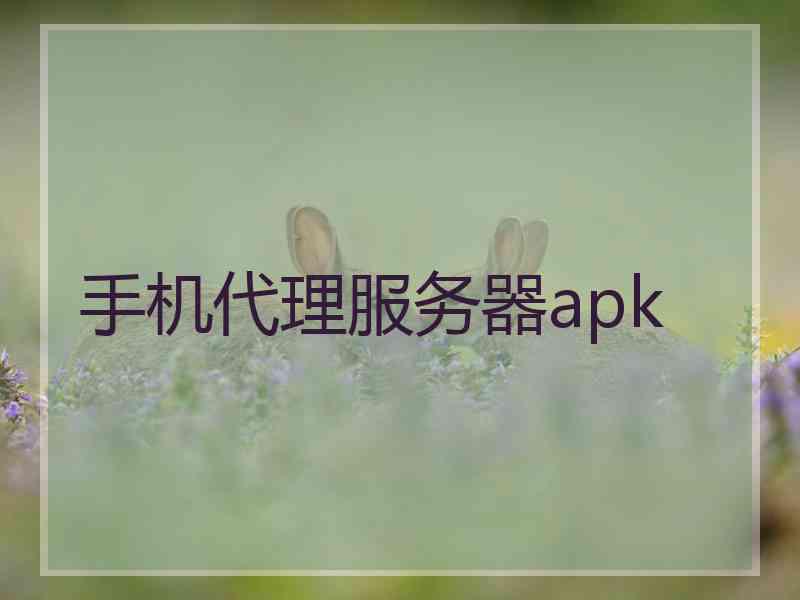 手机代理服务器apk