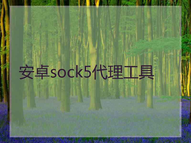 安卓sock5代理工具