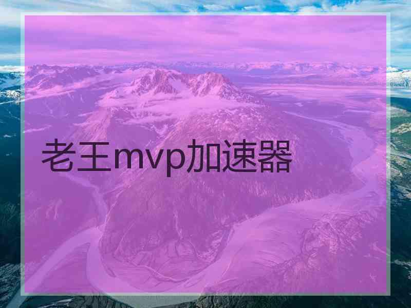 老王mvp加速器