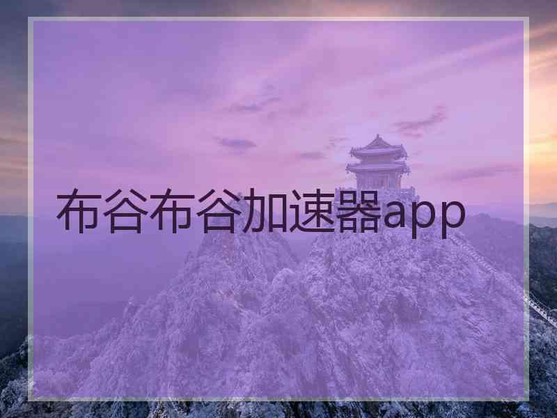 布谷布谷加速器app